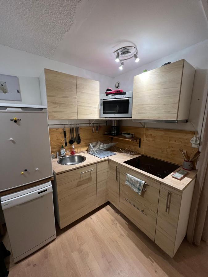 Bel Appartement 2/4 Pers, Au Pied Des Pistes Тінь Екстер'єр фото